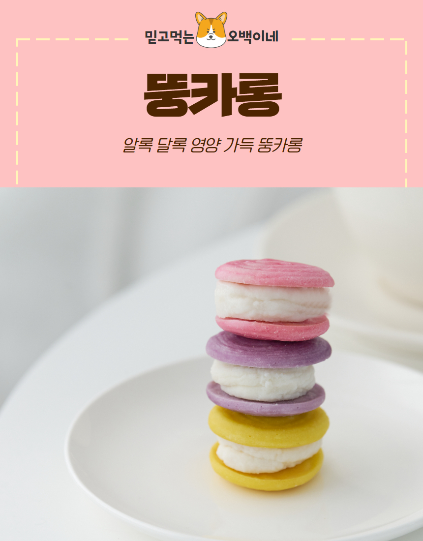 [무료배송] 오간식 독 댕카롱 2번째