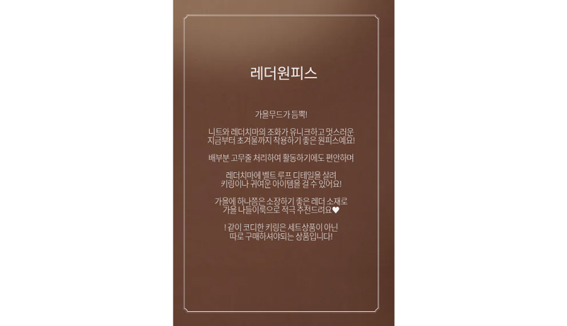 [NEW신상] [무료배송] 해피댕댕 레더원피스 2종 (브라운,블랙) S-2XL 2번째