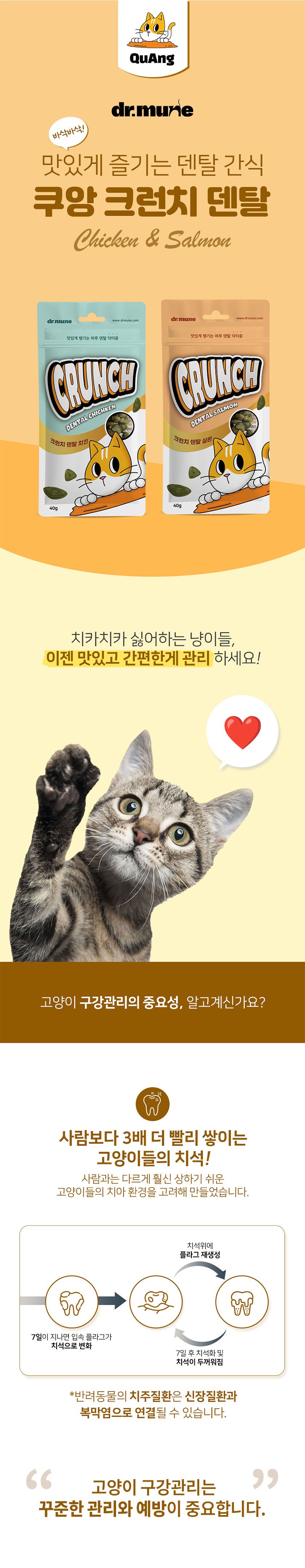 닥터뮨 캣 쿠앙 크런치 덴탈 치킨 40g 1번째