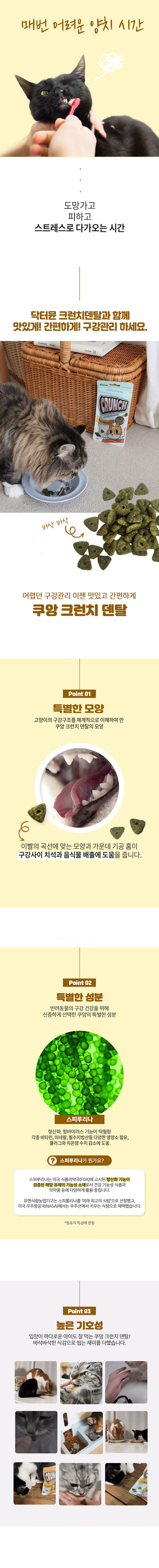 닥터뮨 캣 쿠앙 크런치 덴탈 치킨 40g 2번째