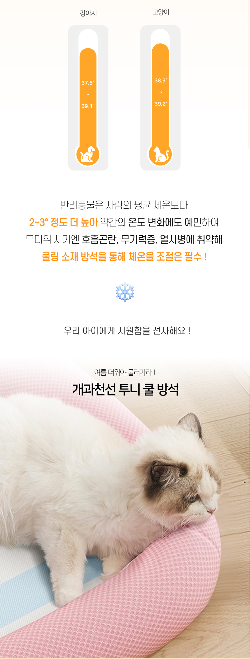 [NEW신상][무료배송] 개과천선 투니 쿨 방석 (중형/대형) 2번째