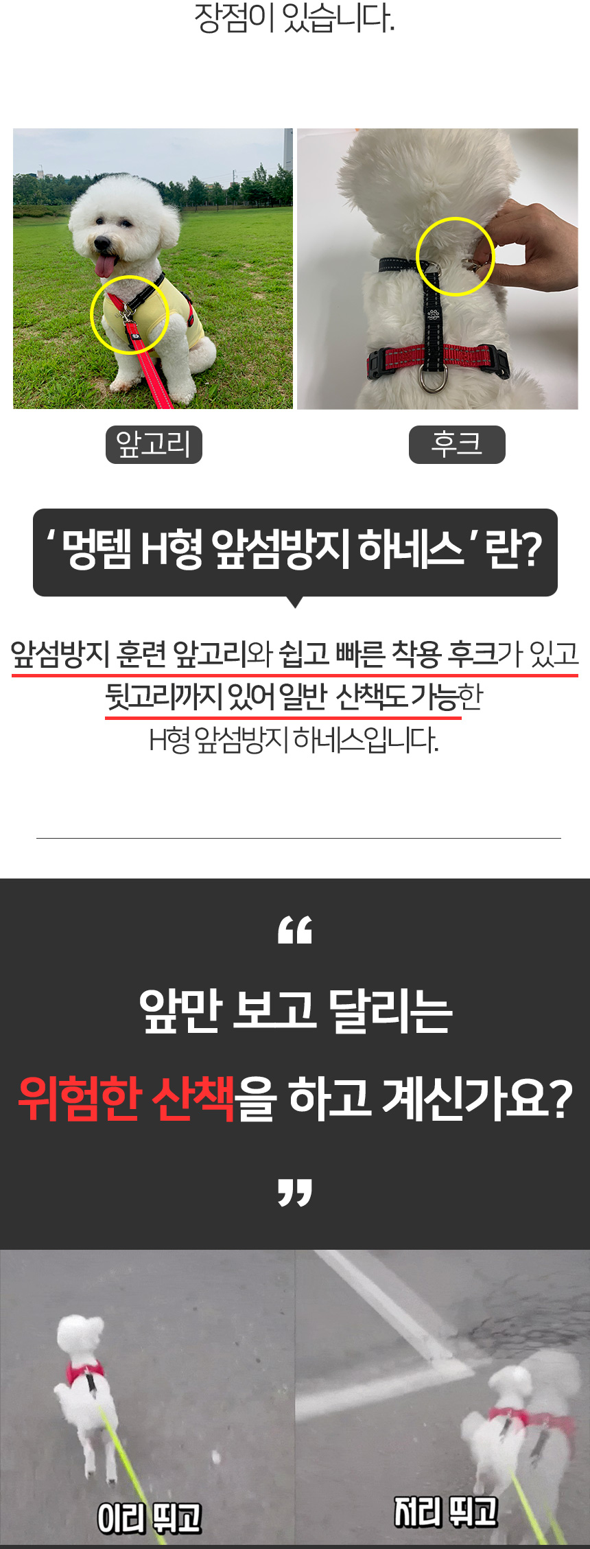 [무료배송] 멍템 H하네스 레드&블랙/레드/핑크/오렌지/그린/블루/블랙/베이지  XXS-L 4번째