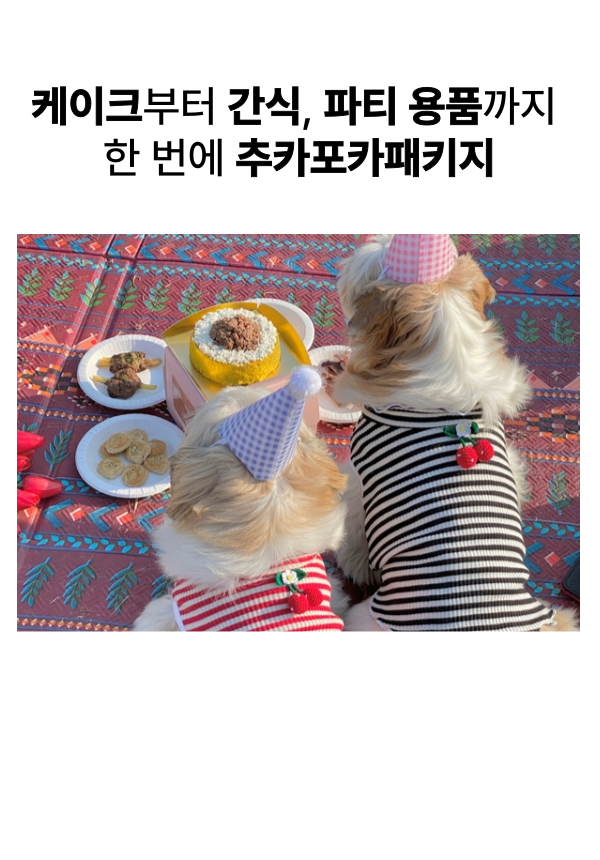 [무료배송] 그날,간식 독 추카포카 생일패키지  9번째