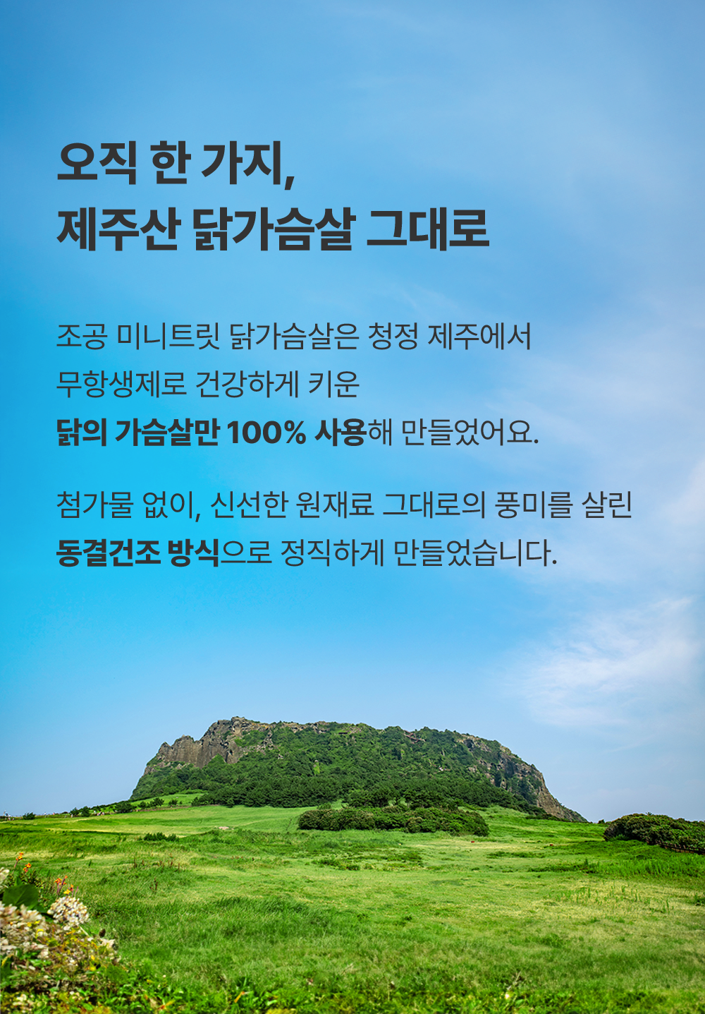 조공 미니트릿 제주 무항생제 닭 80g 10번째