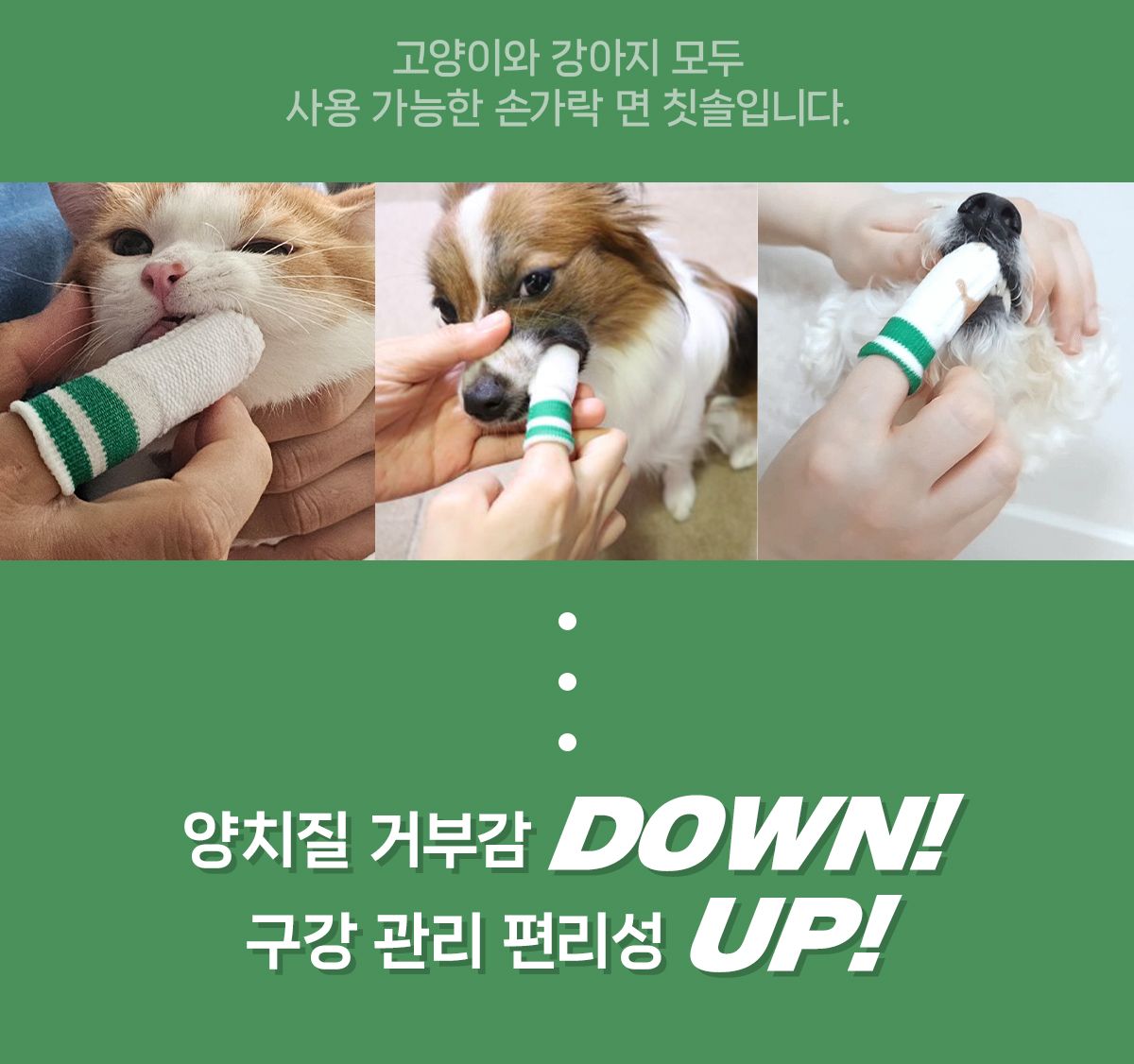 [브랜드전]닥터페트라 덴티치카 대나무섬유 손가락칫솔 1번째
