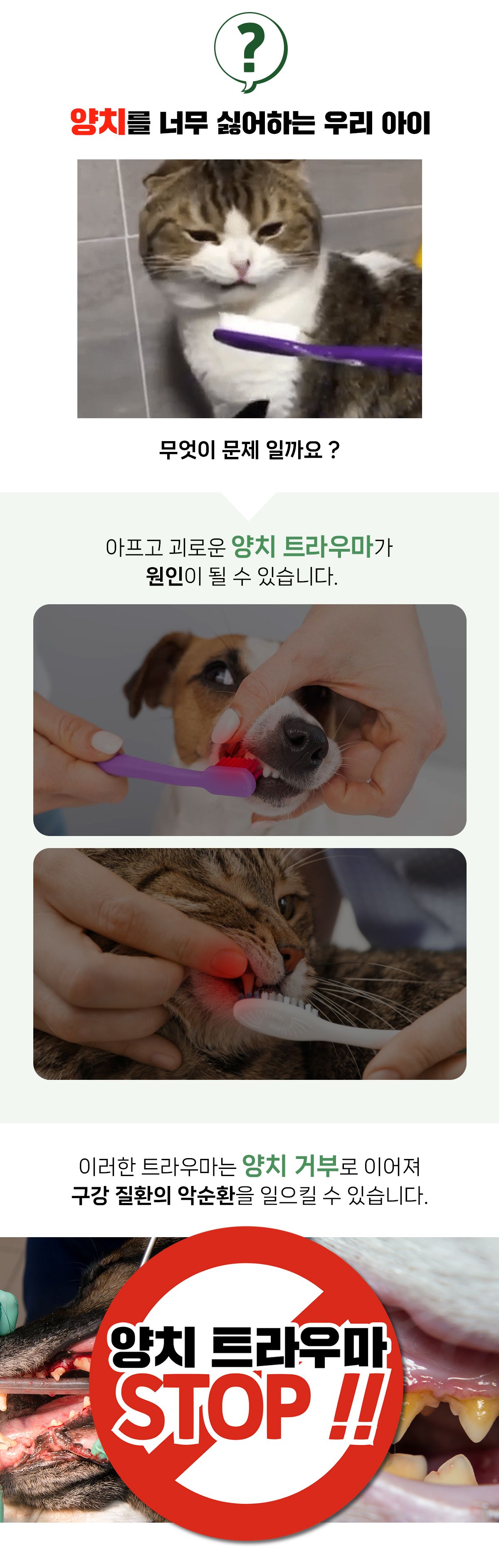 [브랜드전]닥터페트라 덴티치카 대나무섬유 손가락칫솔 3번째