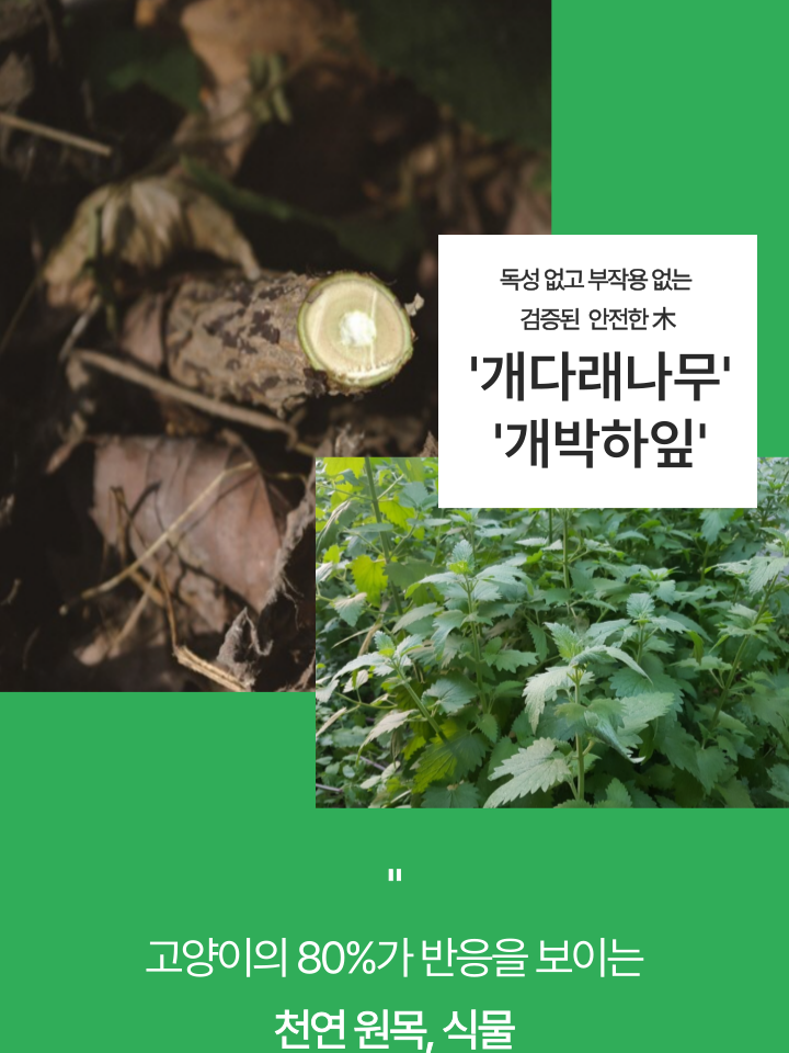 [NEW신상][무료배송] 캣디피 캣닢 마따따비 냥캔디 8번째