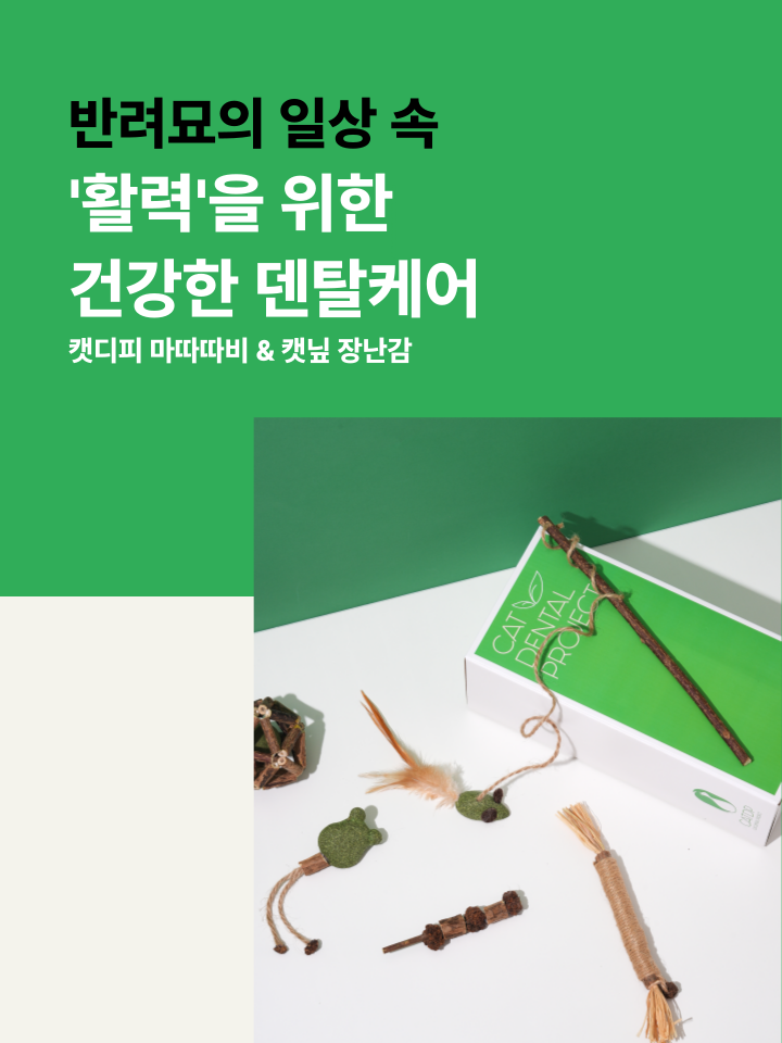 [NEW신상][무료배송] 캣디피 캣닢 마따따비 냥캔디 39번째
