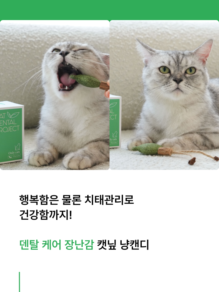 [NEW신상][무료배송] 캣디피 캣닢 마따따비 냥캔디 37번째