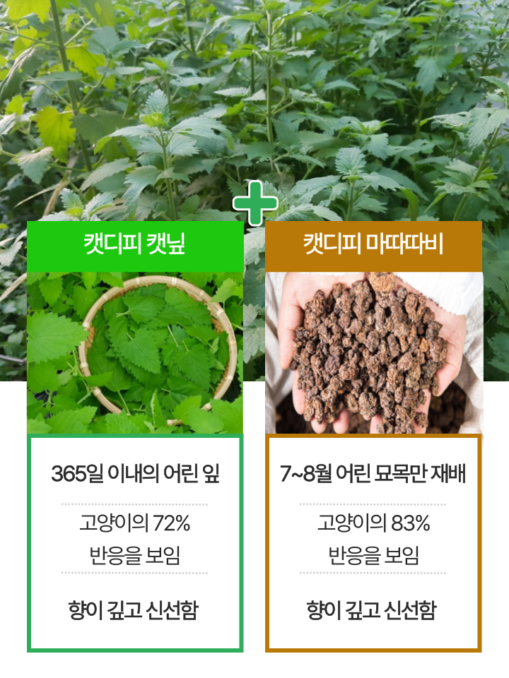 [NEW신상][무료배송] 캣디피 캣닢 마따따비 냥캔디 23번째