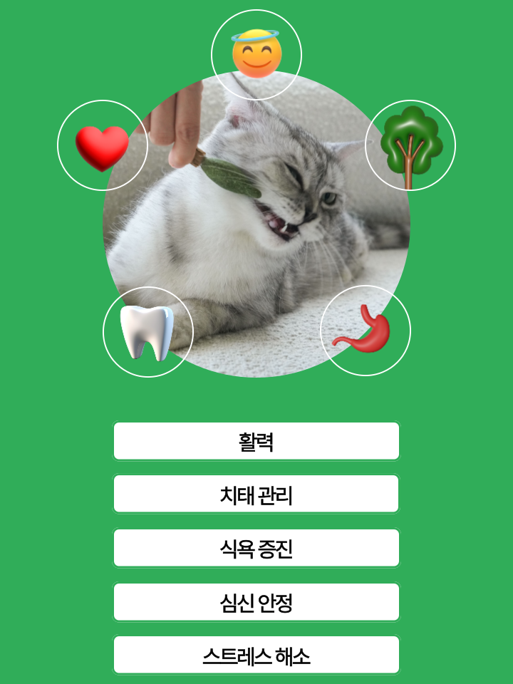 [NEW신상][무료배송] 캣디피 캣닢 마따따비 냥캔디 36번째