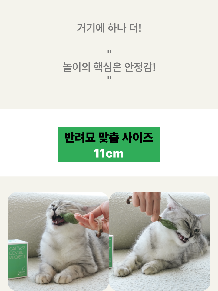 [NEW신상][무료배송] 캣디피 캣닢 마따따비 냥캔디 31번째