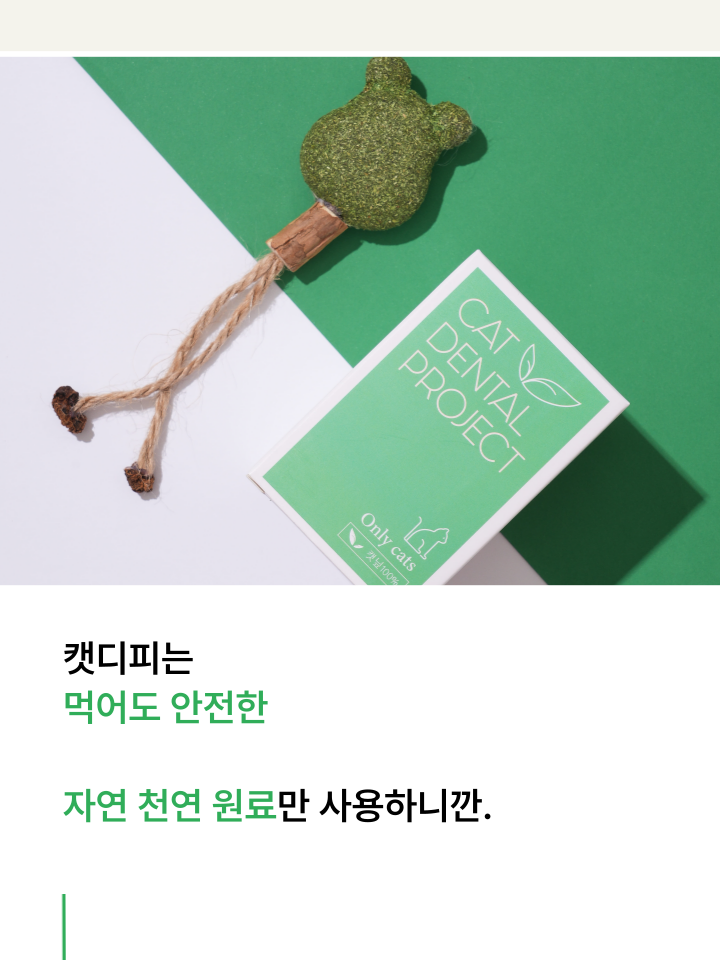 [NEW신상][무료배송] 캣디피 캣닢 마따따비 냥캔디 33번째