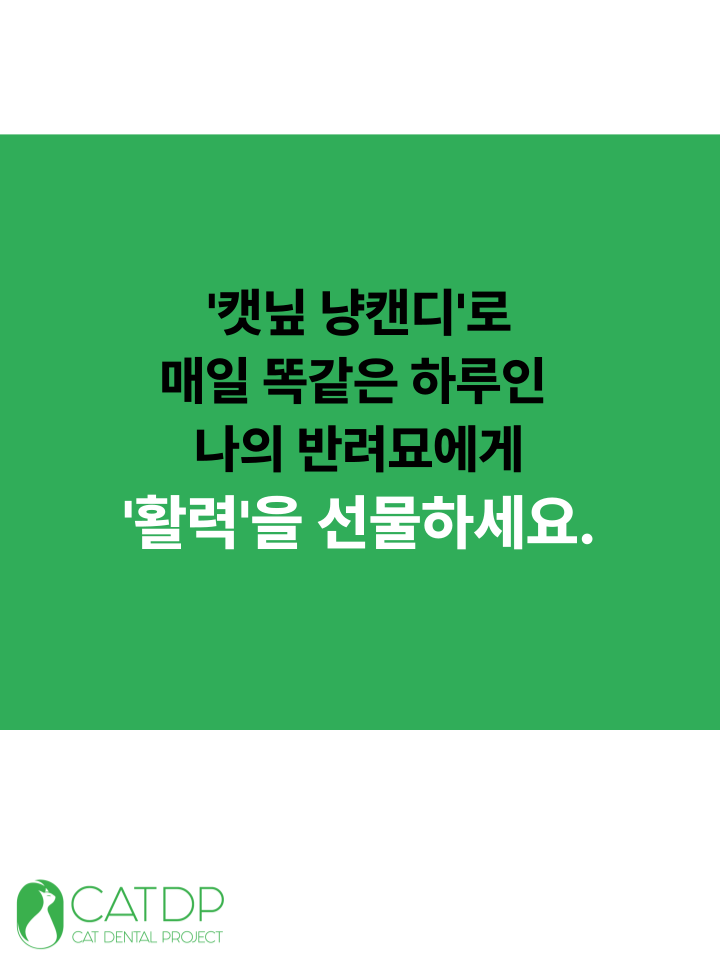 [NEW신상][무료배송] 캣디피 캣닢 마따따비 냥캔디 3번째