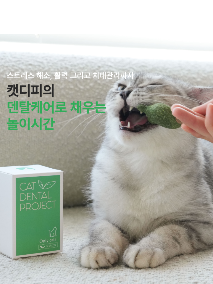 [NEW신상][무료배송] 캣디피 캣닢 마따따비 냥캔디 12번째