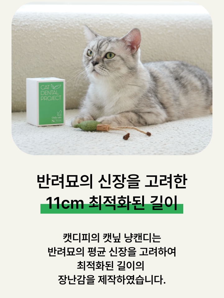 [NEW신상][무료배송] 캣디피 캣닢 마따따비 냥캔디 32번째