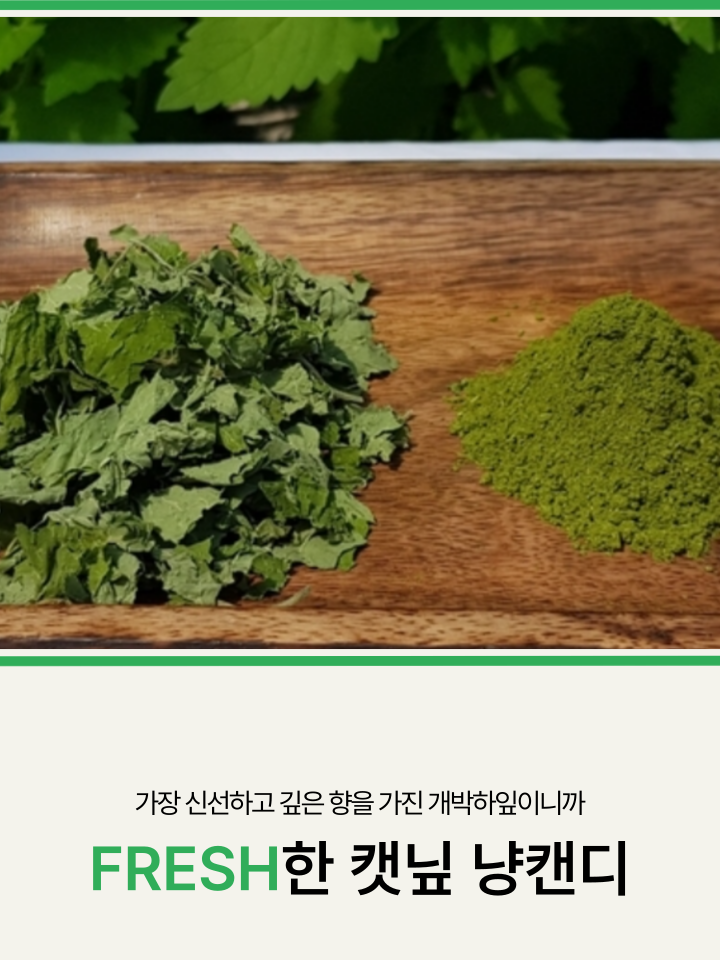 [NEW신상][무료배송] 캣디피 캣닢 마따따비 냥캔디 19번째