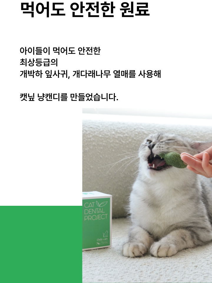 [NEW신상][무료배송] 캣디피 캣닢 마따따비 냥캔디 29번째