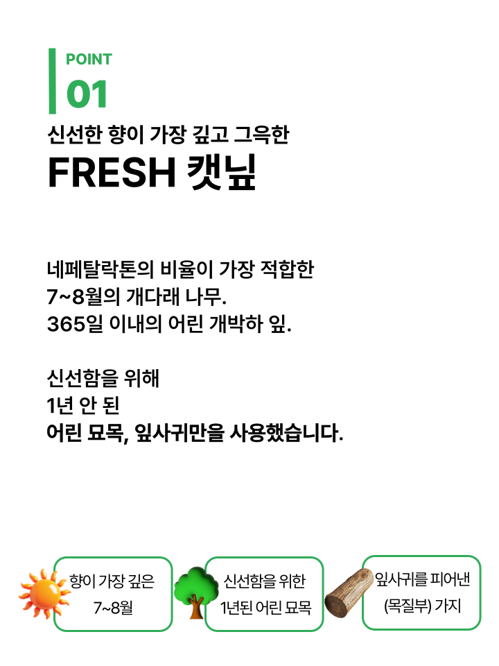 [NEW신상][무료배송] 캣디피 캣닢 마따따비 냥캔디 22번째