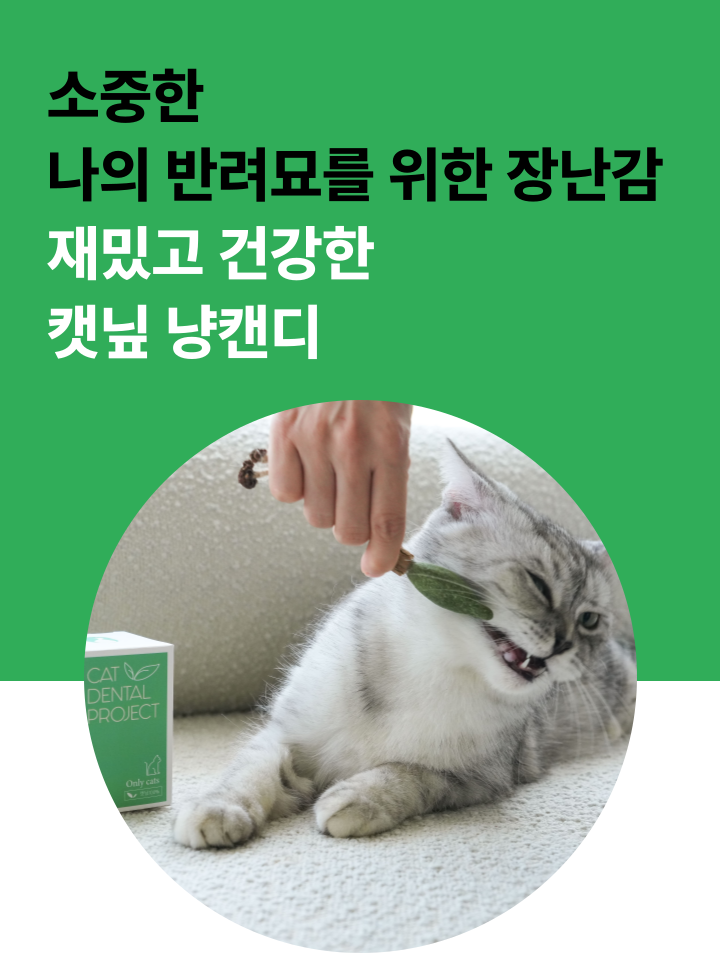 [NEW신상][무료배송] 캣디피 캣닢 마따따비 냥캔디 2번째