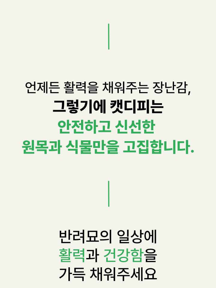 [NEW신상][무료배송] 캣디피 캣닢 마따따비 냥캔디 15번째