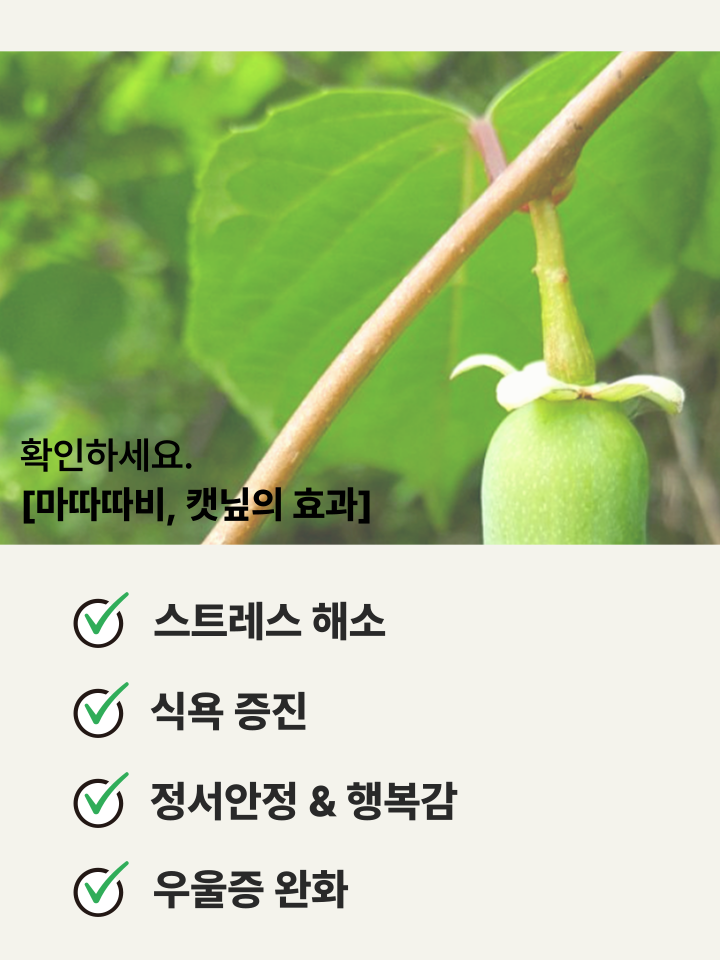 [NEW신상][무료배송] 캣디피 캣닢 마따따비 냥캔디 17번째