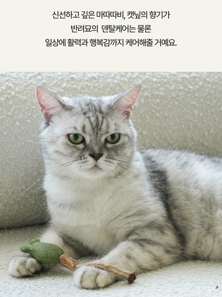 [NEW신상][무료배송] 캣디피 캣닢 마따따비 냥캔디 16번째