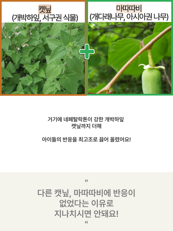 [NEW신상][무료배송] 캣디피 캣닢 마따따비 냥캔디 26번째