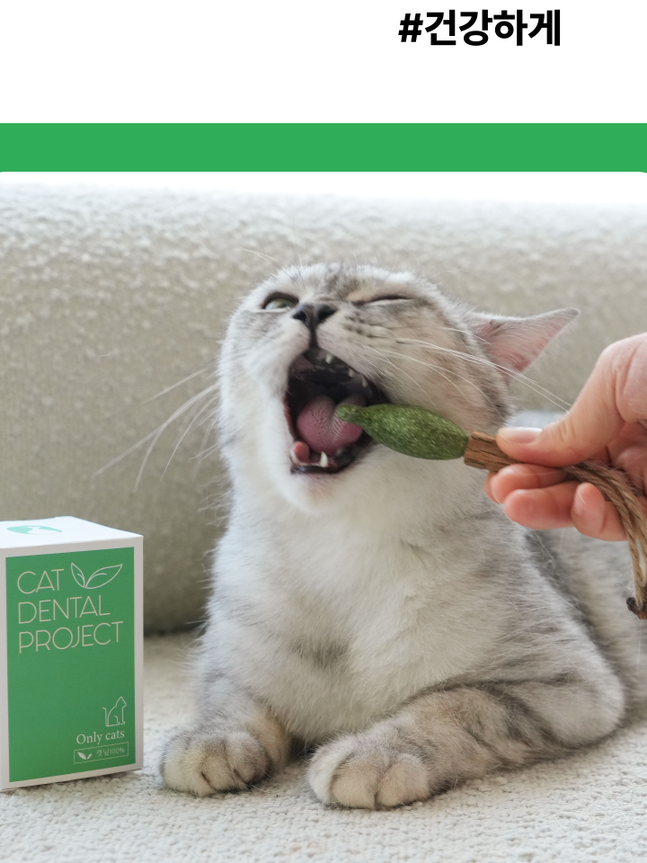 [NEW신상][무료배송] 캣디피 캣닢 마따따비 냥캔디 5번째