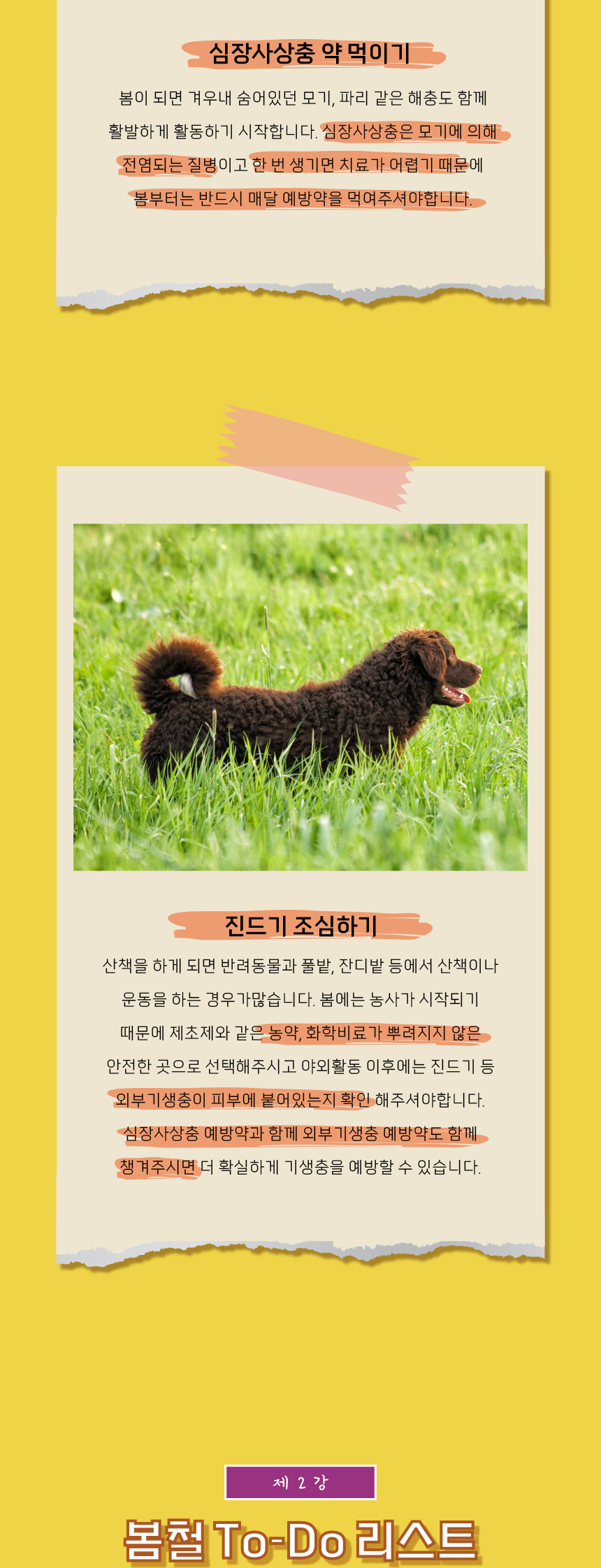 [무료배송] 애구애구 강아지 옷 와플베어 멜빵원피스 8번째