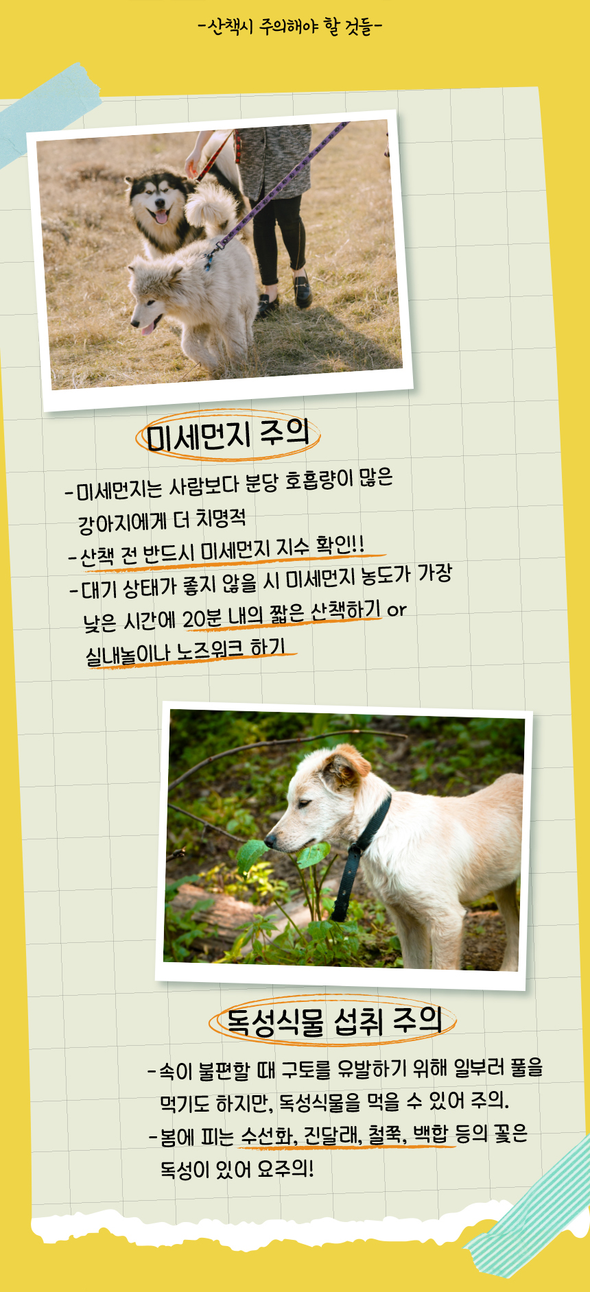 [무료배송] 애구애구 강아지 옷 와플베어 멜빵원피스 9번째