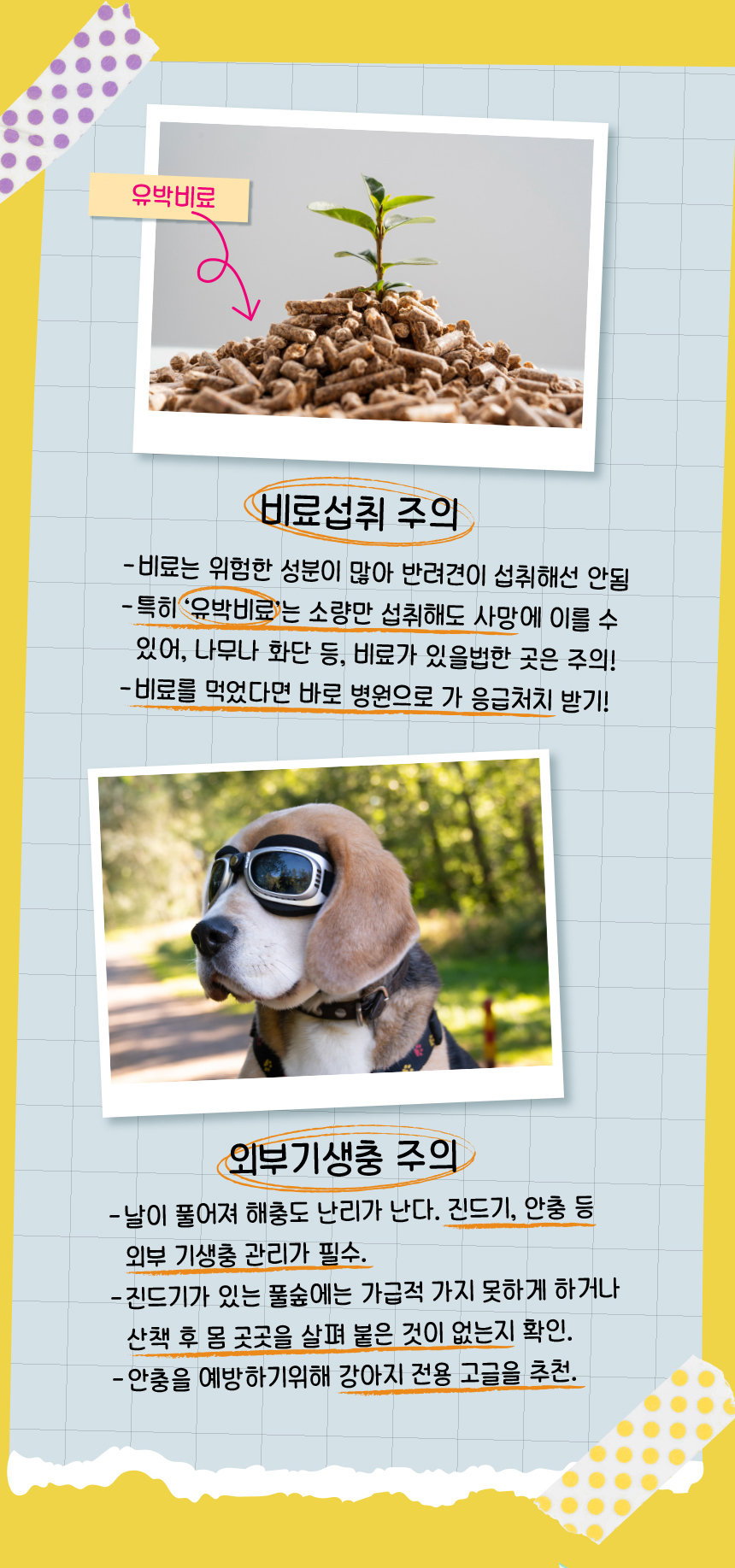 [무료배송] 애구애구 강아지 옷 와플베어 멜빵원피스 10번째