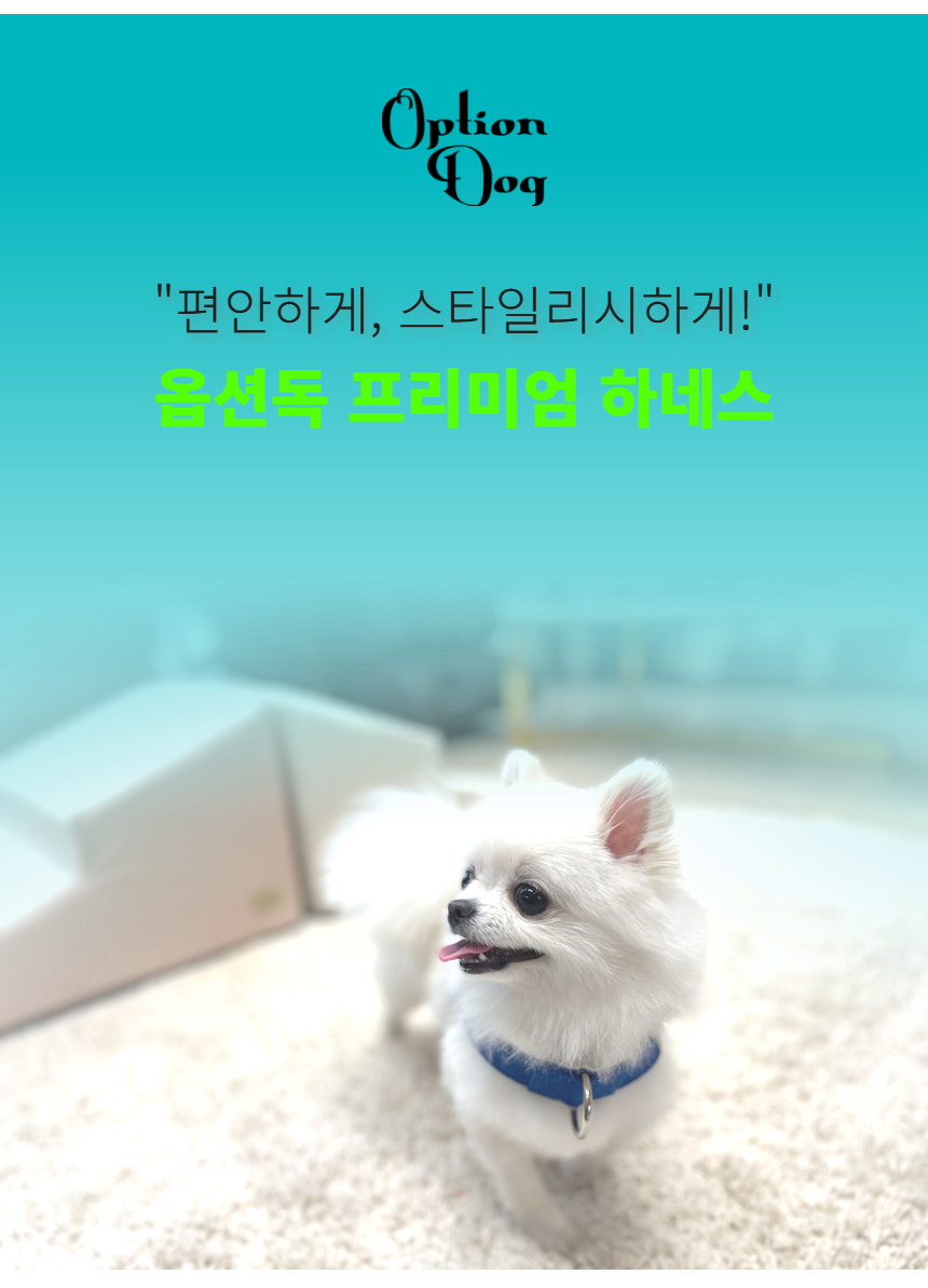 [무료배송] 옥션독 프리미엄 강아지 하네스 가슴줄 8color XXS-M 2번째