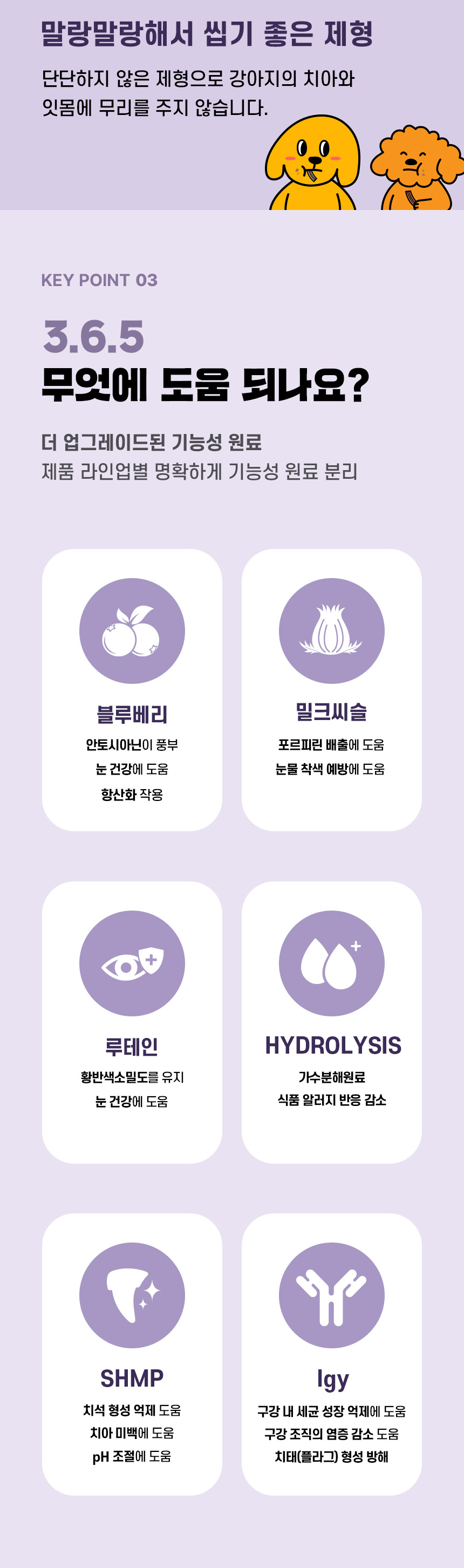 [NEW신상][무료배송] 데이스포 독 와이즈 3.6.5 덴탈케어 브러쉬 눈건강 240g 20개입 10번째