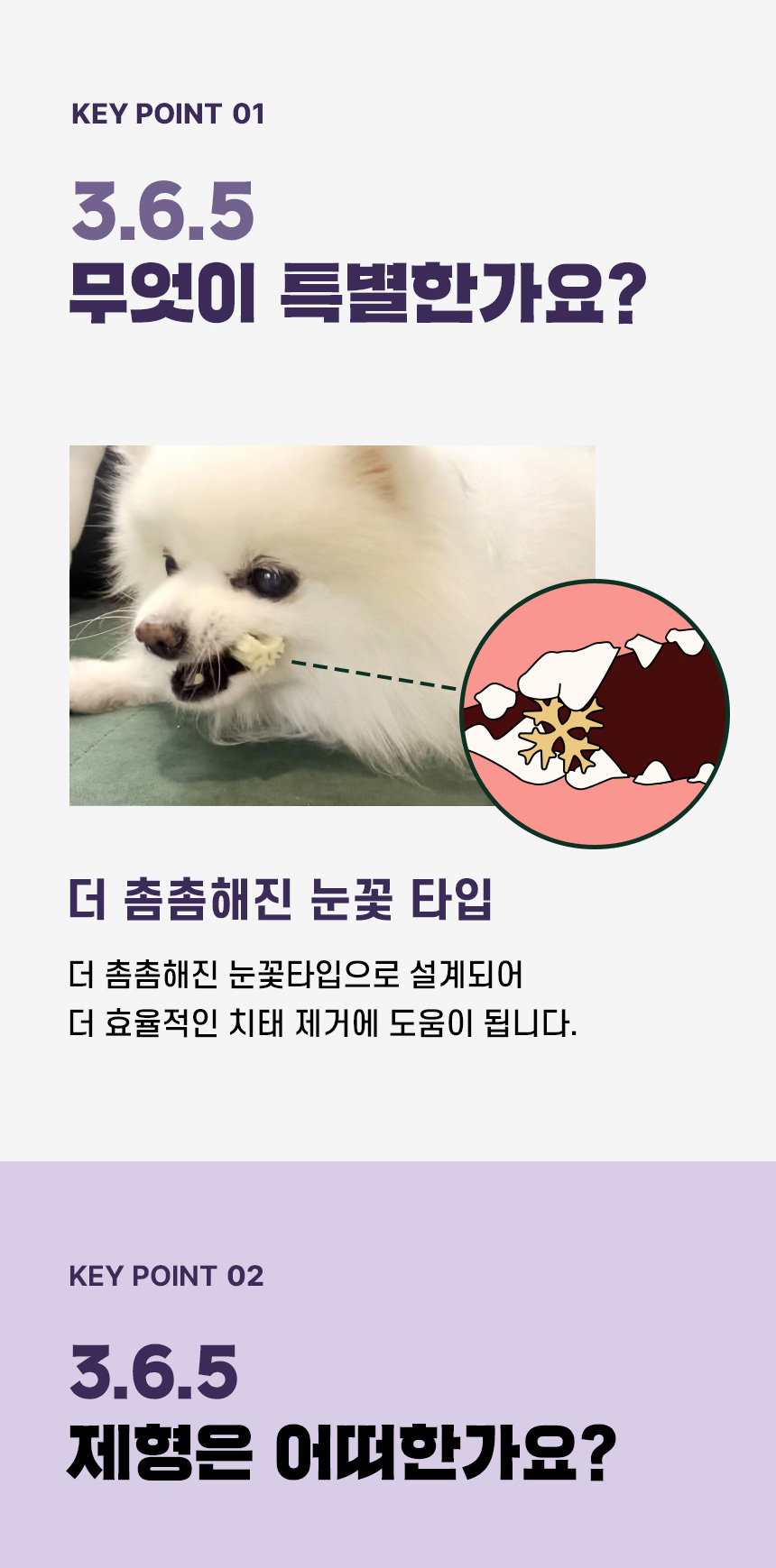 [NEW신상][무료배송] 데이스포 독 와이즈 3.6.5 덴탈케어 브러쉬 눈건강 240g 20개입 8번째