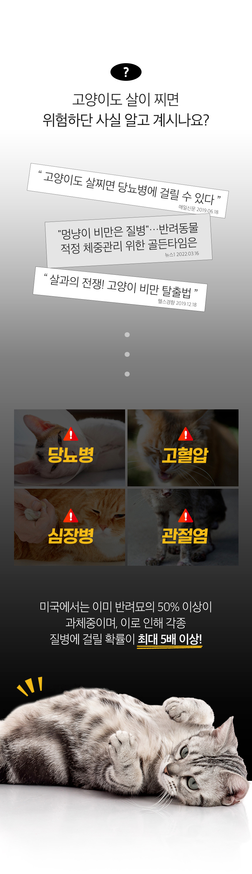 [NEW신상][무료배송] [24개] 데이스포 캣 필라인 캔 흰살참치와 새우 80g 3번째