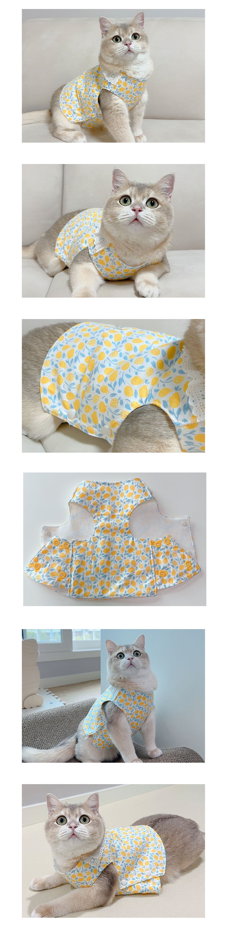 [무료배송] 개달당 고양이옷 플라워 에어메쉬 옆트임 조끼 실내복 핑크꽃/오렌지감귤 3번째