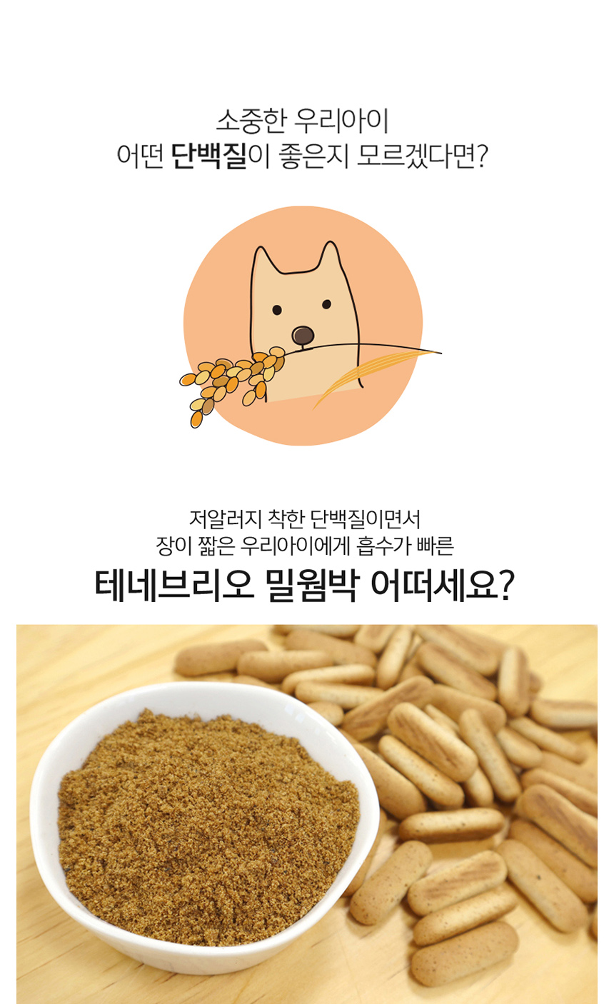 [무료배송] 오븐에 구운 견키 밀웜단백질 비스킷 1kg 2번째