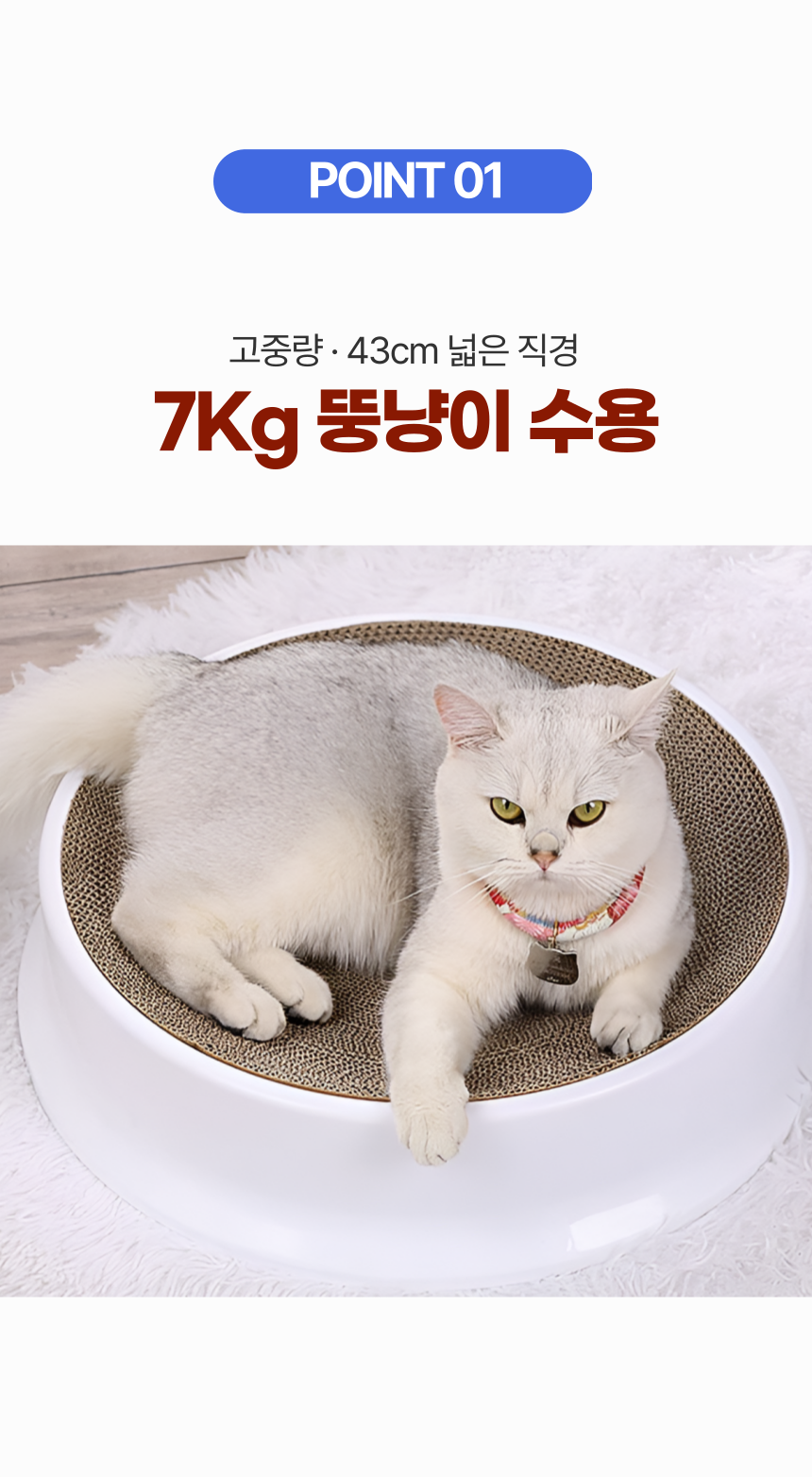 [무료배송] 알뜰펫 초대형 스크래쳐 2번째