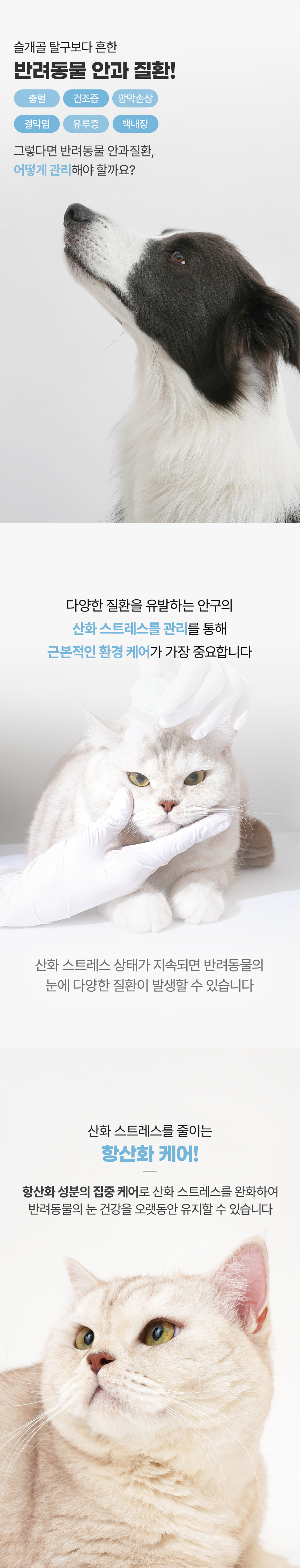 [무료배송] 하울릭 퓨어톡 인공눈물 눈세정제 10ml*2ea 6번째