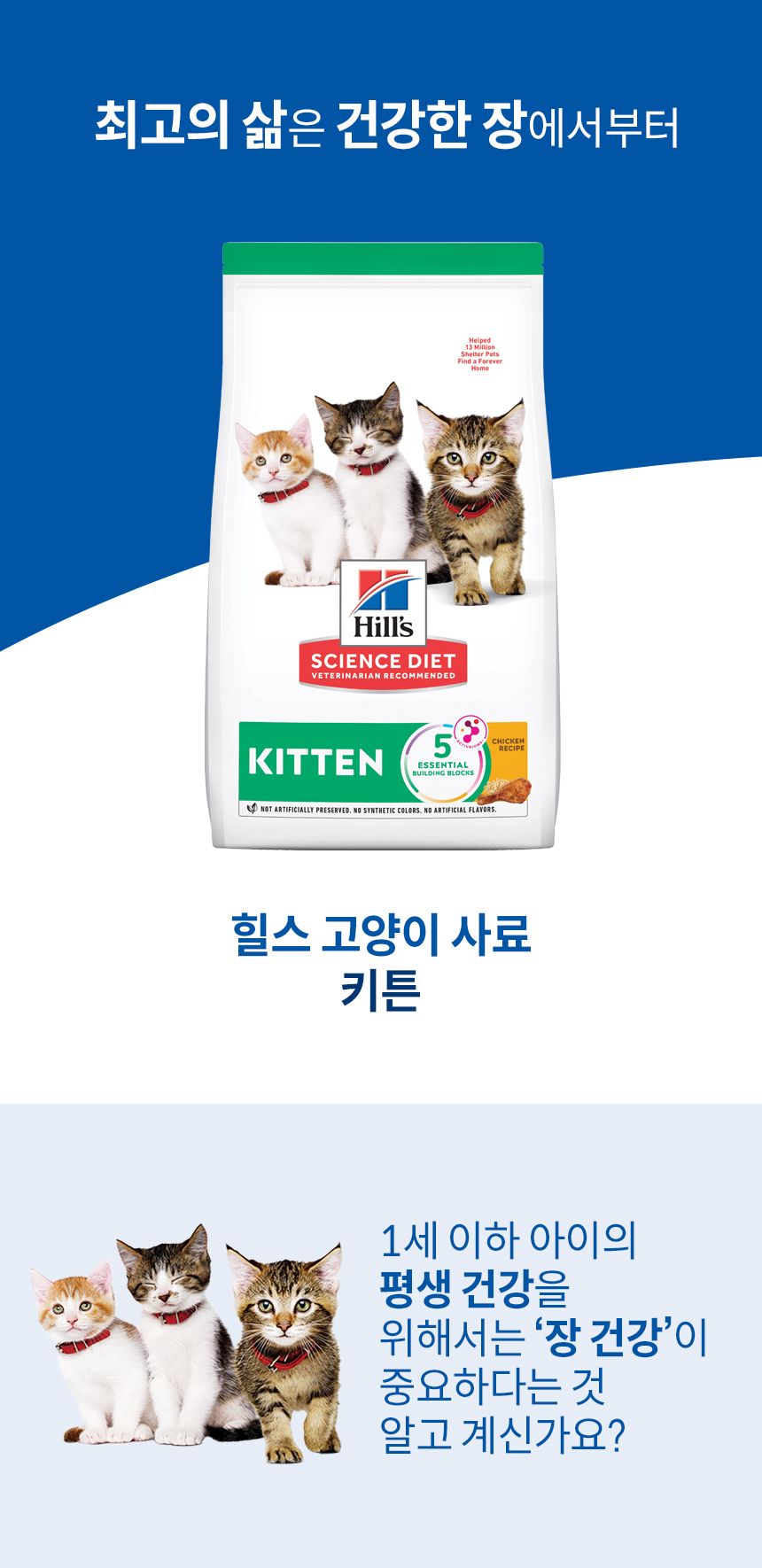 힐스 캣 키튼 치킨 1.6kg 1번째