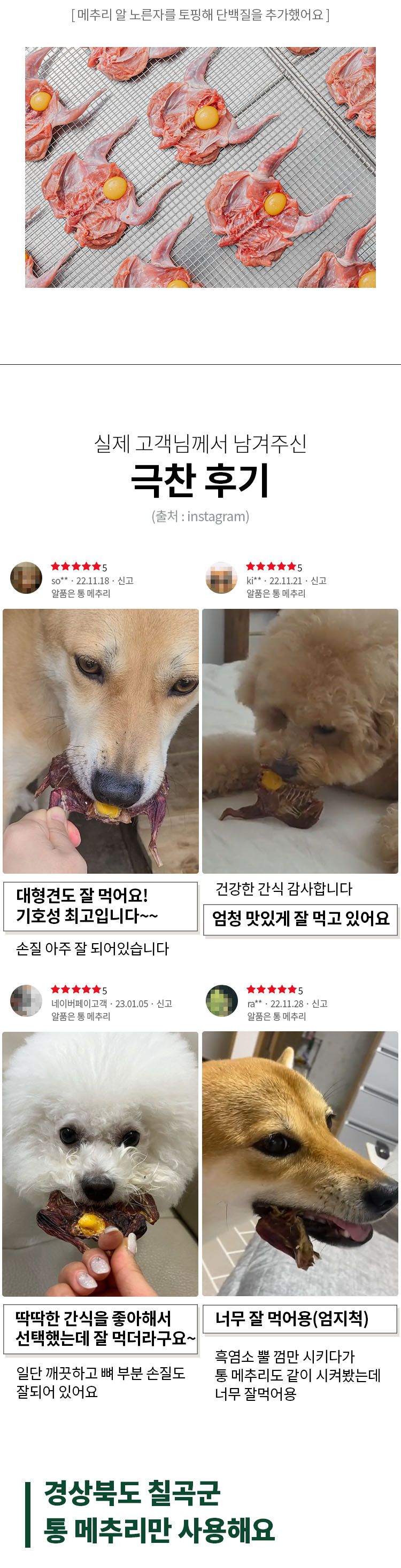 [무료배송] 펫쉴드 독 알 품은 통 메추리 3번째