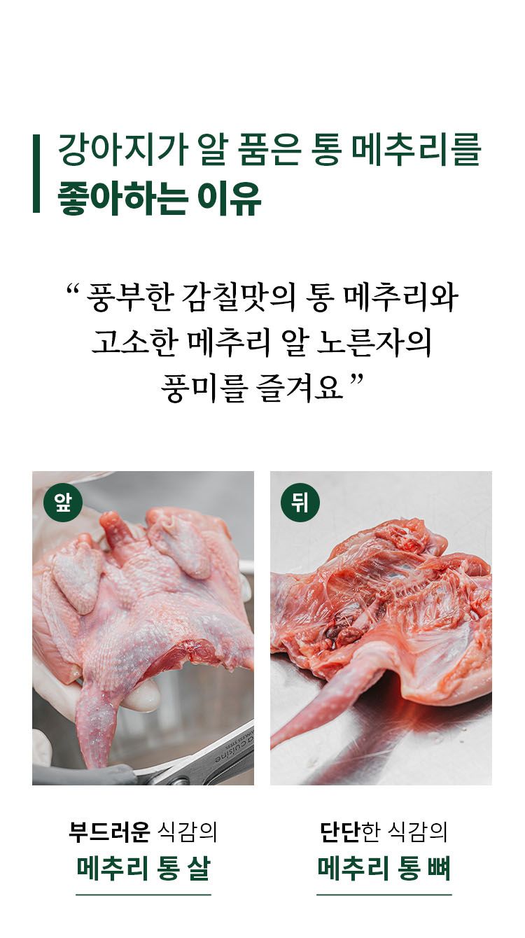 [무료배송] 펫쉴드 독 알 품은 통 메추리 2번째