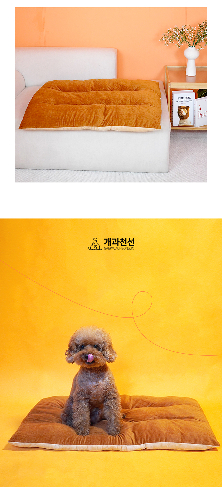 [NEW신상][무료배송] 개과천선 웰 루어 방석 (그레이/브라운) 11번째