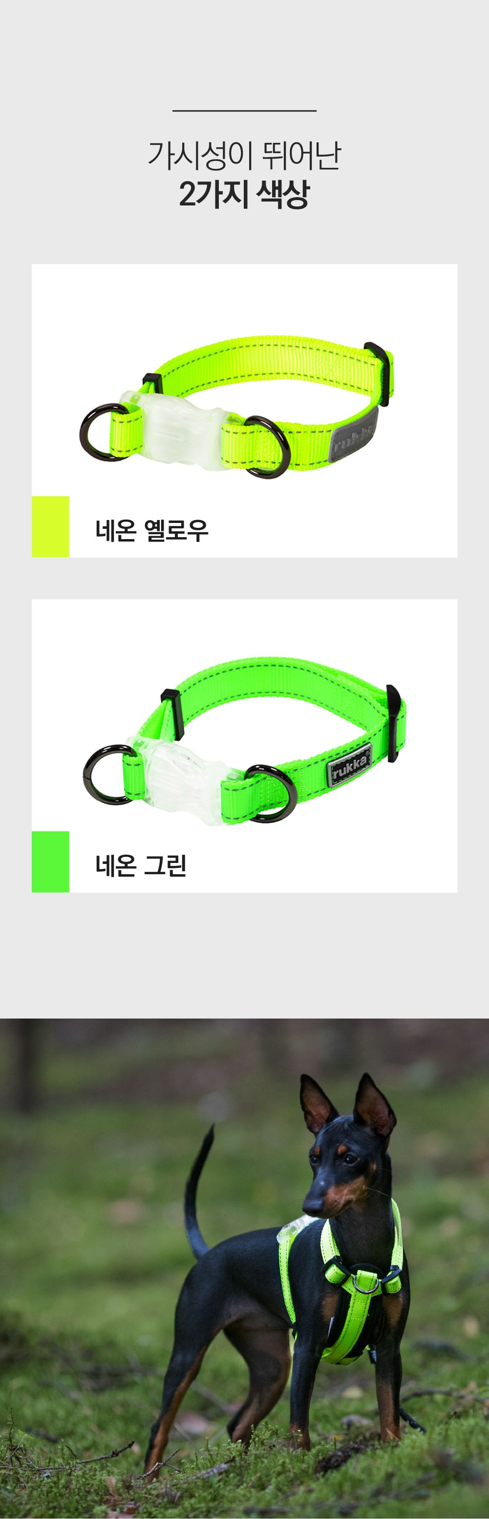 [무료배송] 루카펫 LED 라이트 칼라 그린 XS-L 4번째