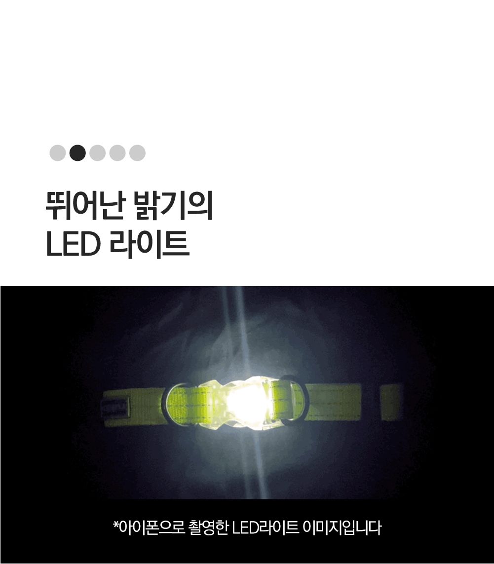[무료배송] 루카펫 LED 라이트 칼라 그린 XS-L 2번째
