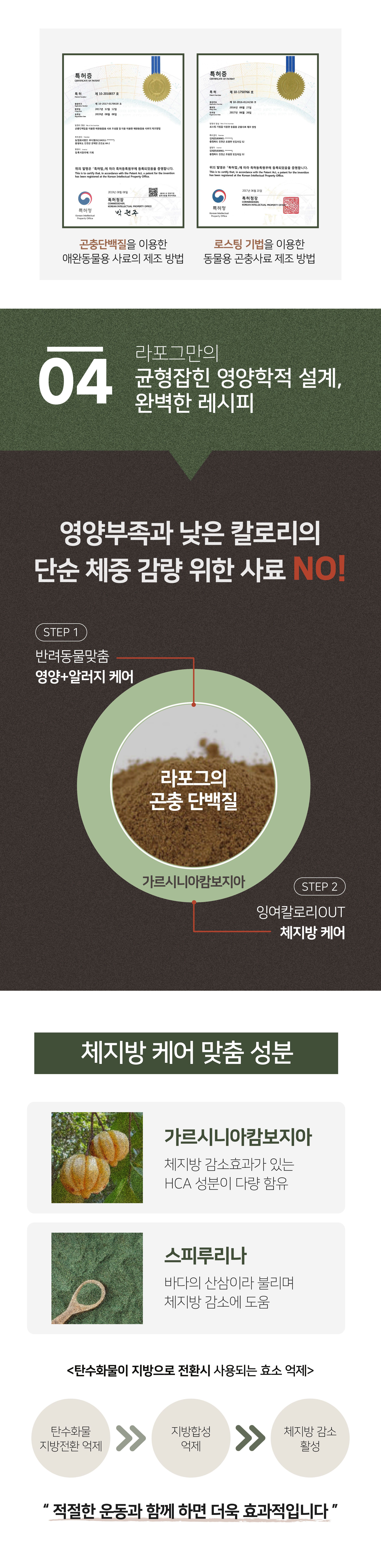 [사료샘플] 라포그 독 리얼인섹트 웨이트밸런스 50g 13번째