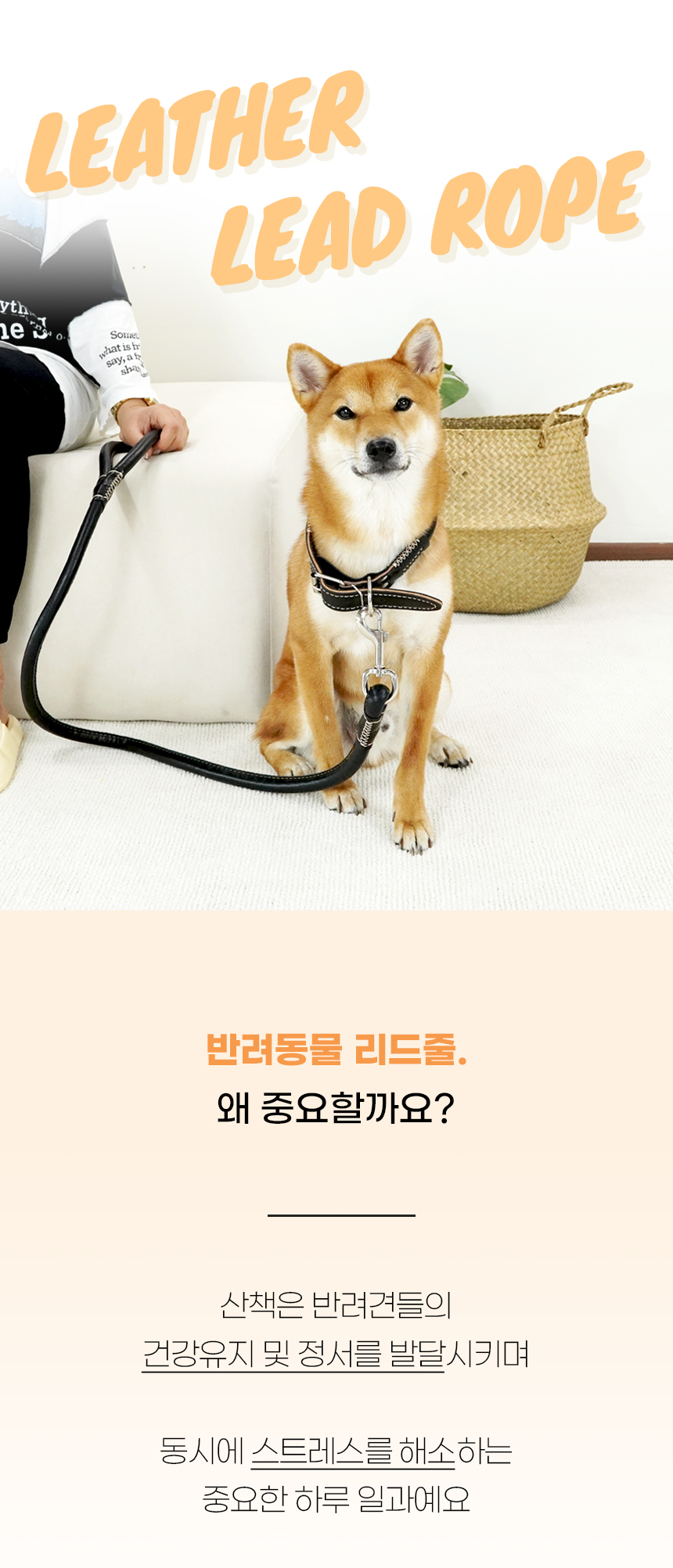 [NEW신상][무료배송] 개과천선 독 레더 리드줄 목줄 세트 (블랙/브라운) 1번째