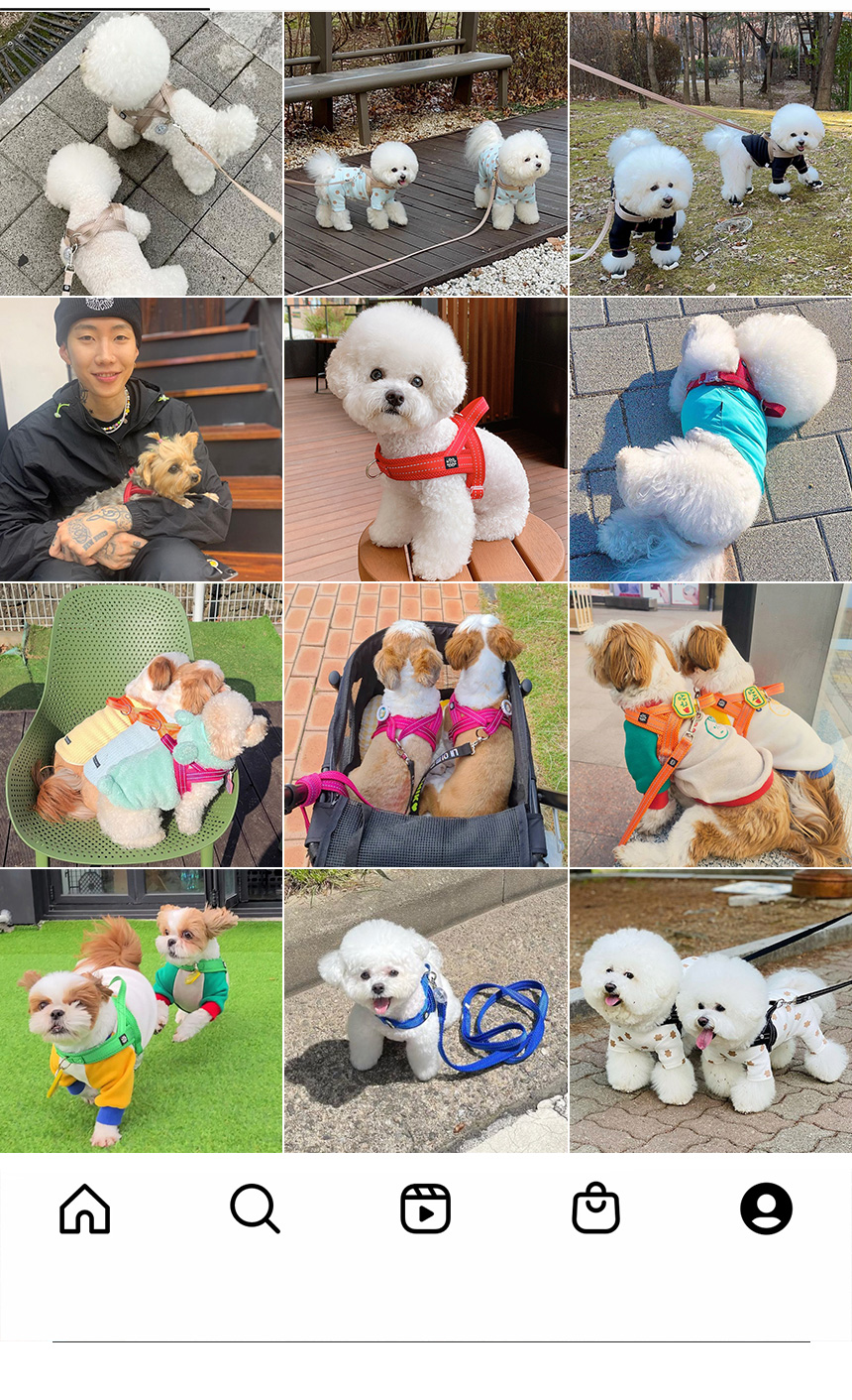 [무료배송] 멍템 휴대용식기 레드/핑크/오렌지/옐로우/블랙 3번째