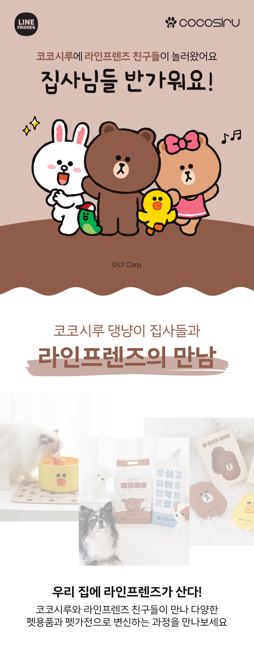 [무료배송] 코코시루 라인프렌즈 도자기 급수기 브라운 샐리 CL2WF 강아지 고양이 정수기 1번째